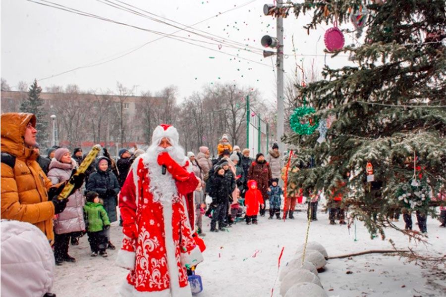 20.11 16:00 В парках Ульяновска 23 декабря откроются новогодние ёлки