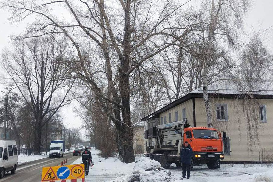 06.02 16:00 За неделю в Ленинском районе снесено 22 аварийных дерева