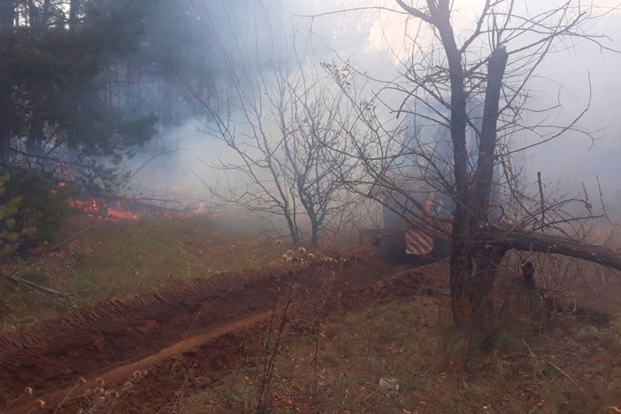 08.10 13:00 В Ульяновском лесничестве ликвидировали пожар