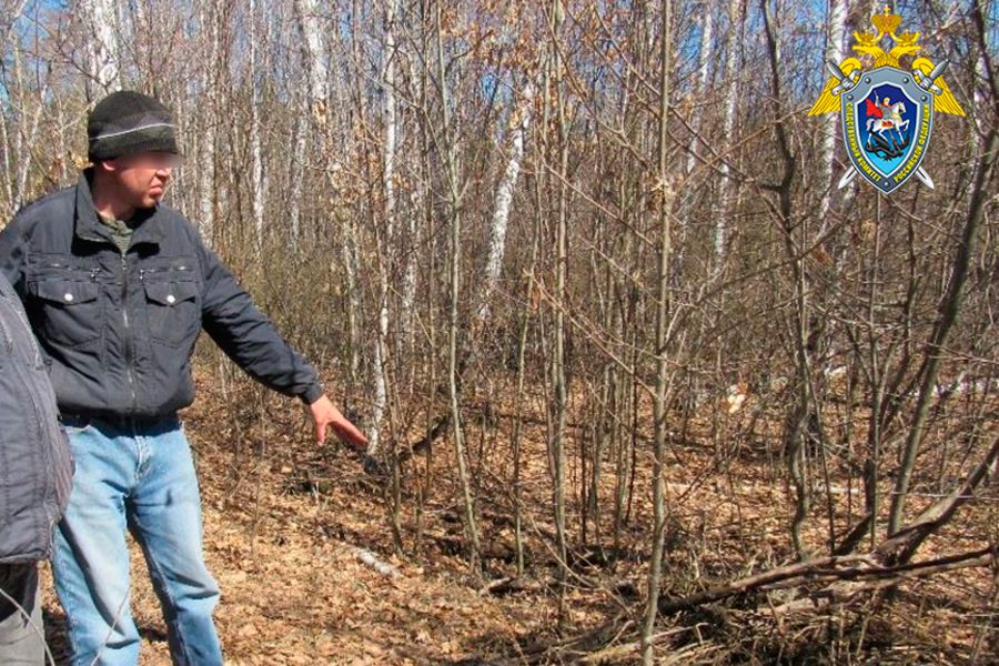 01.10 14:00 Житель р.п. Вешкайма признан виновным в причинении смерти сожительнице