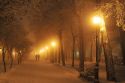 В предстоящие выходные Ульяновск покроет туман