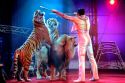 4 из 10 ульяновцев — за цирковые представления без животных