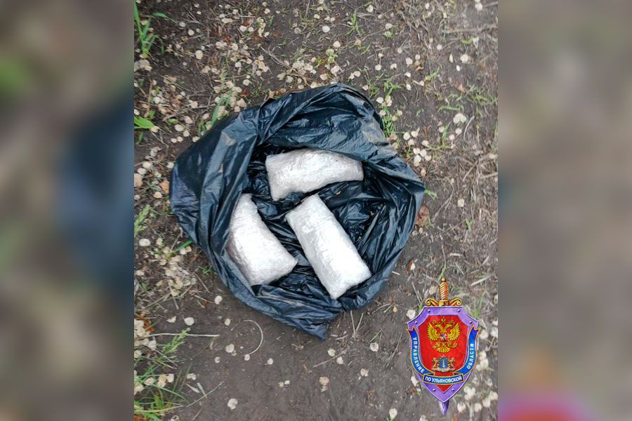 Ульяновские оперативники ФСБ и МВД пресекли канал сбыта наркотиков