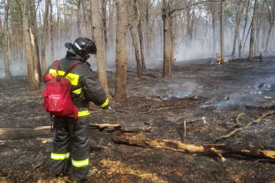 22.08 12:00 Из-за гроз на выходных в Ульяновской области произошло 3 лесных пожара