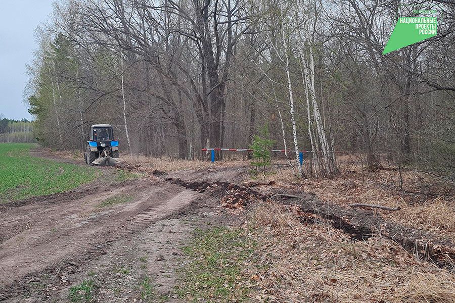 02.02 11:00 В Ульяновской области усилят работу по недопущению лесных пожаров
