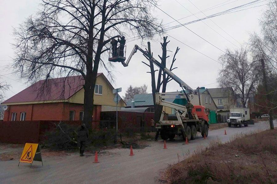 14.12 08:00 В Ульяновске за минувшую неделю убрали 34 аварийных дерева