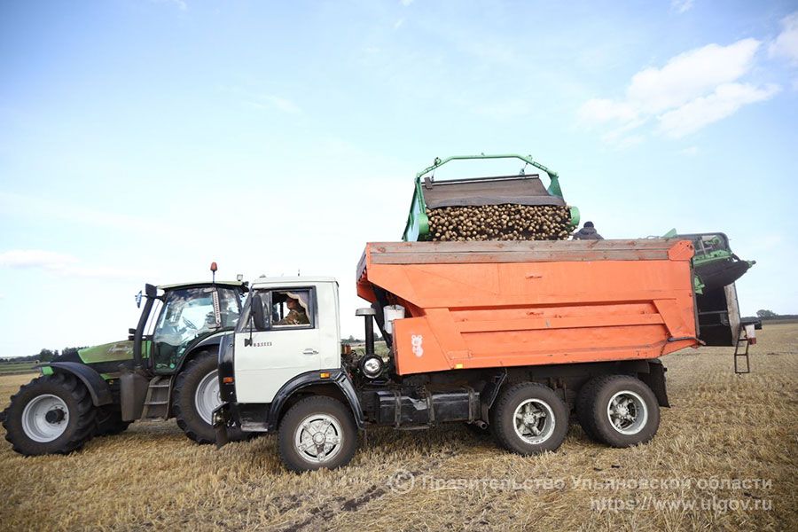 04.09 10:00 Аграрии Ульяновской области продолжают уборку картофеля и овощей
