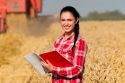 Авито Работа: выбор вакансий в агросекторе в Ульяновске вырос на 45%