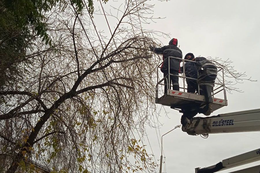 31.10 16:00 За минувшую неделю в Ульяновске убрали 126 аварийных деревьев