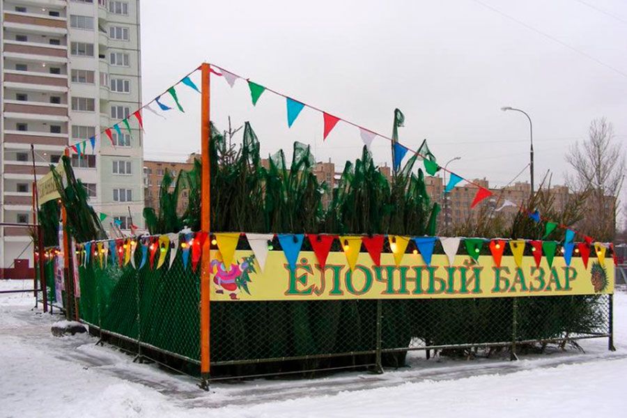 08.12 09:00 В Ульяновске новогодние ёлки можно купить на 22 базарах