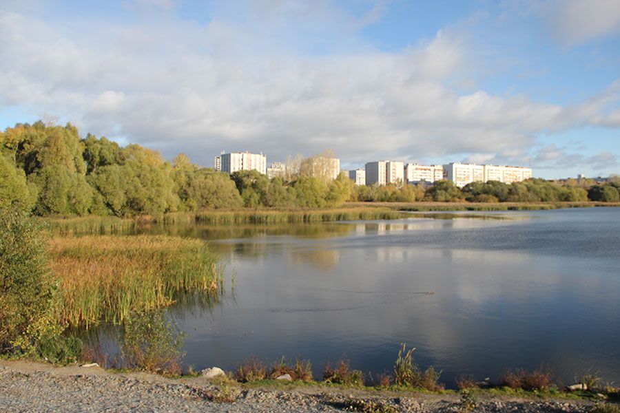 24.09 14:00 В Ульяновске планируют расчистить Свиягу и создать вокруг неё национальный городской парк «Семь жемчужин Свияги»